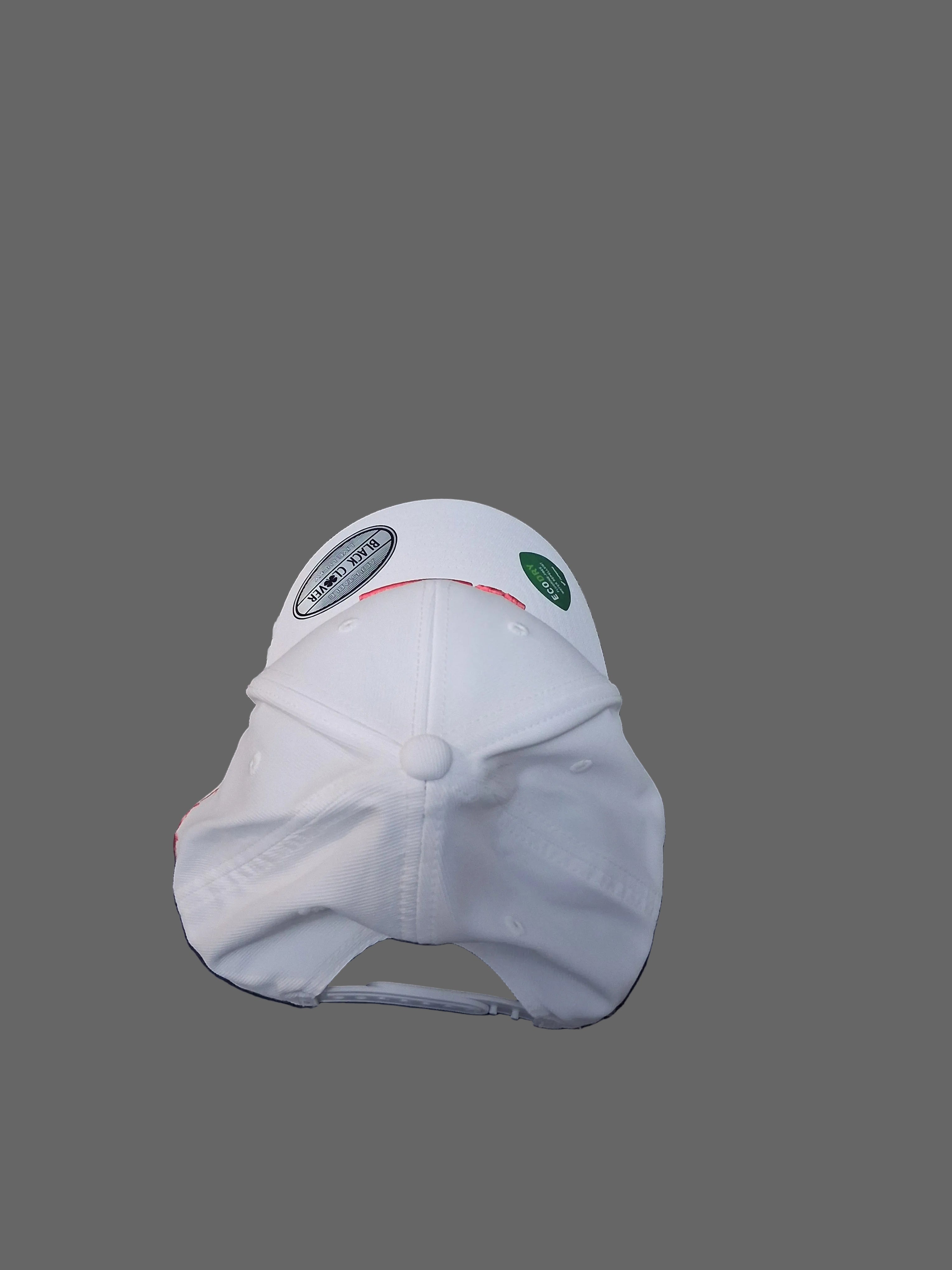 Snapback Clover Nation